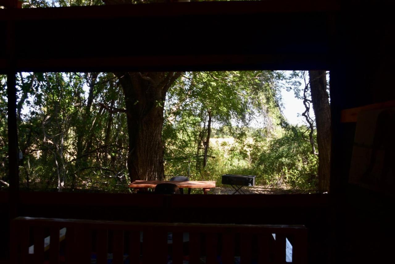 Phazama Farm Maun Exterior foto