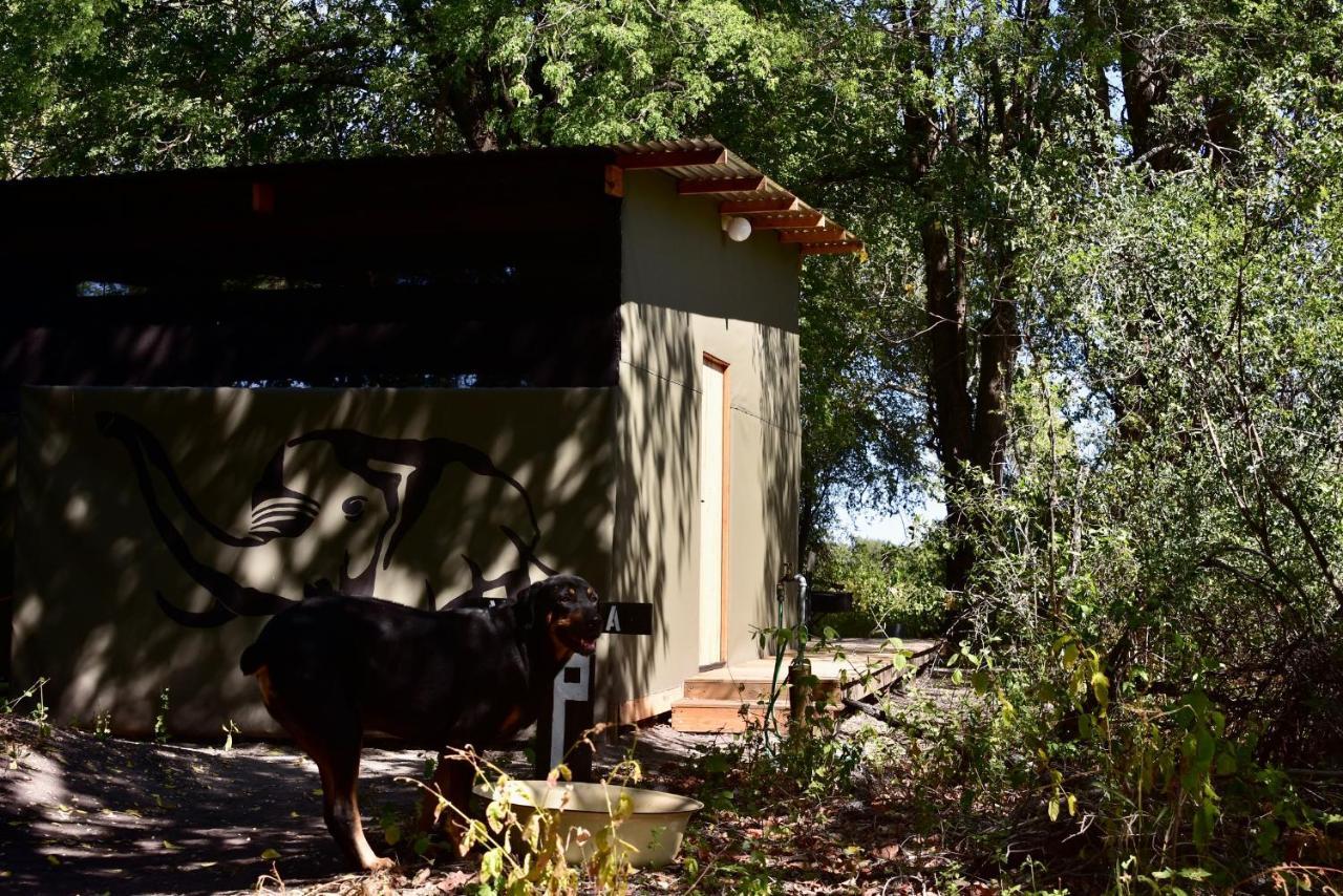 Phazama Farm Maun Exterior foto