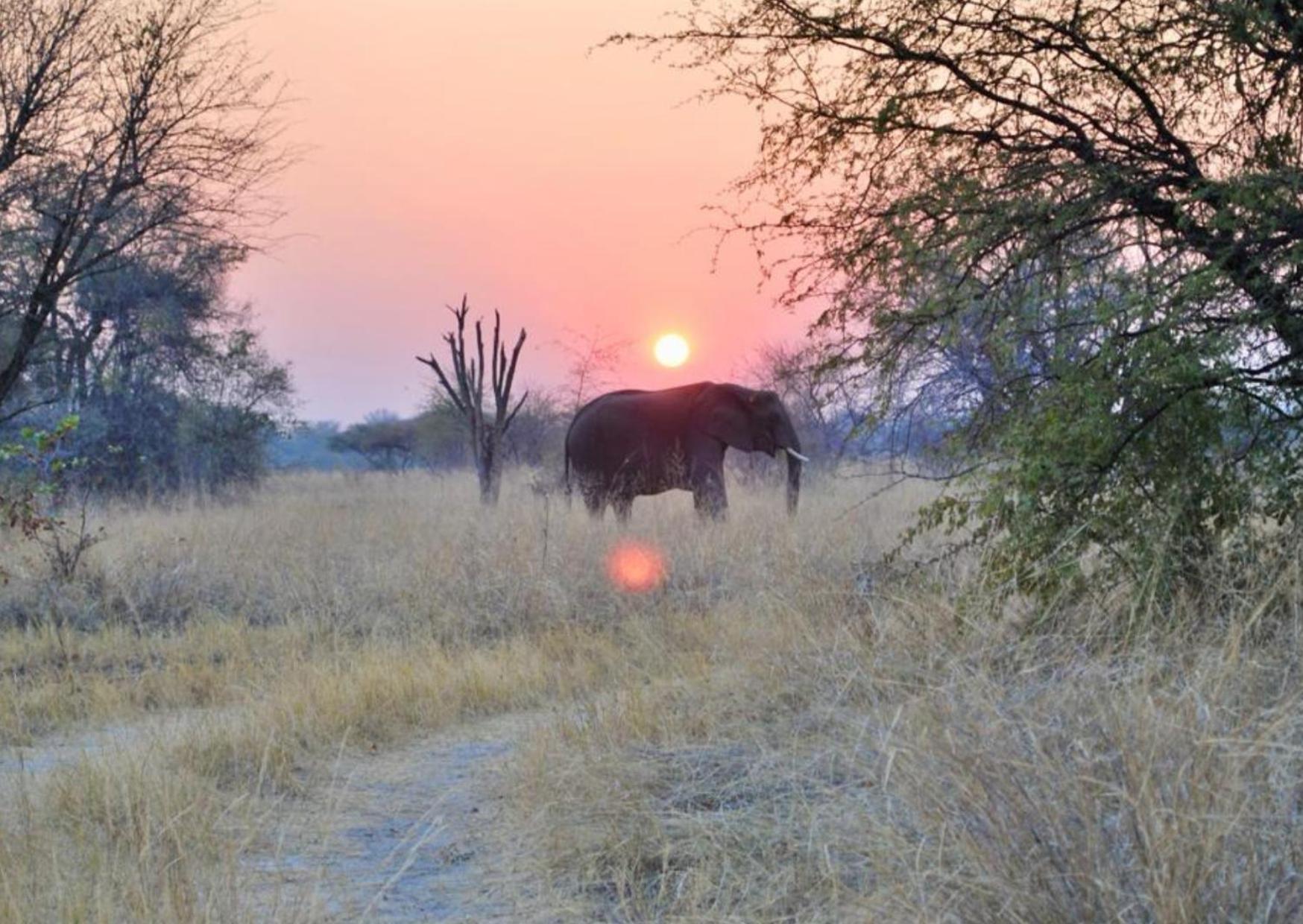Phazama Farm Maun Exterior foto