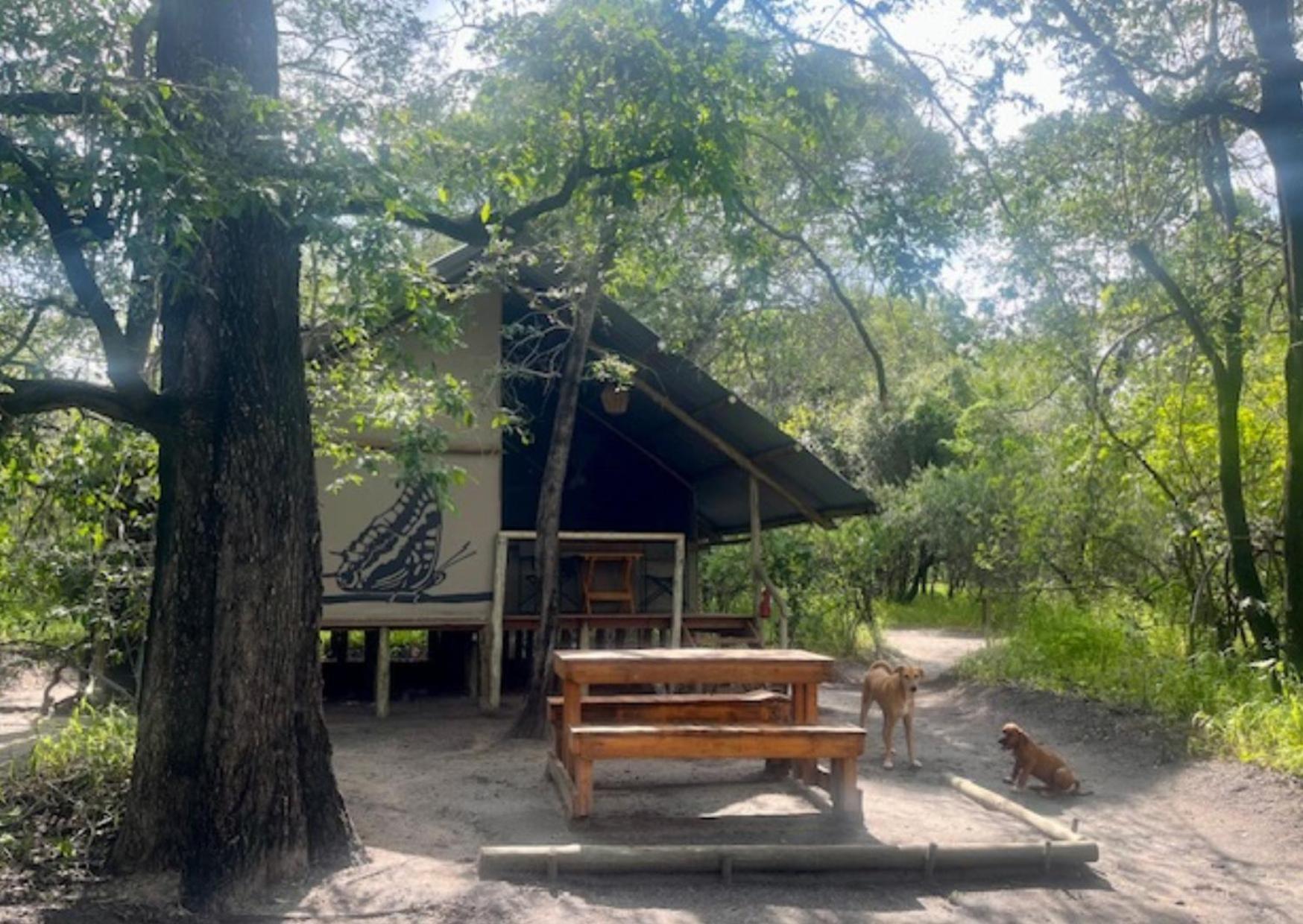 Phazama Farm Maun Exterior foto